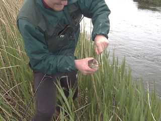 Jan with a brown trout to release.
Bert with a 1.2 kg brown trout