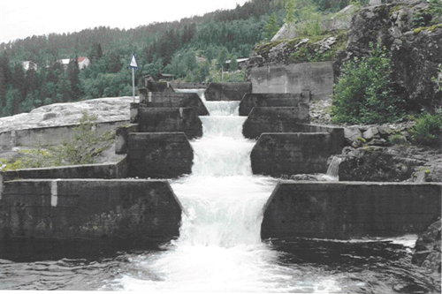 Salmon stairs at Namsen and salmon aquarium near Grong