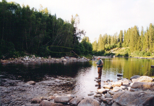 Fly fishing on the waterfall neck in yensa