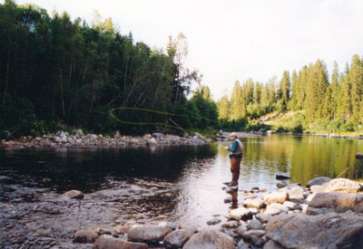 Fly fishing on foss neck in yensa