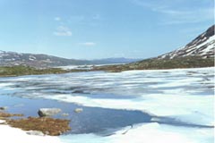 Even mid-summer there is snow on top