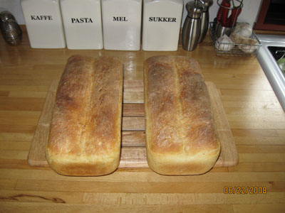 Home made smoked cheese and two yogurt bread