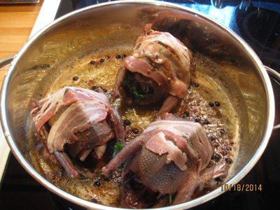 Pigeons fried in pan served with Waldorf Salad