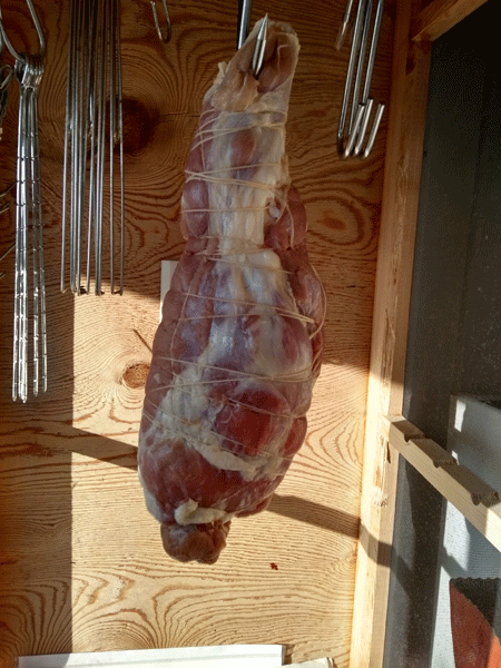 The wild boar club was hung up for drying