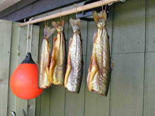 Four rainbow trout after 4 hours in the Smoking Oven at 70 C