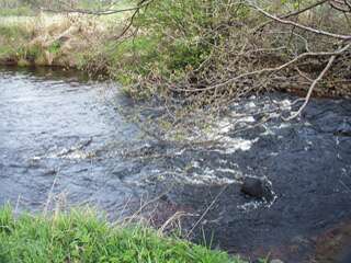 1. Image a good fishing water in Kge Creek
2. Image of deer in the back garden