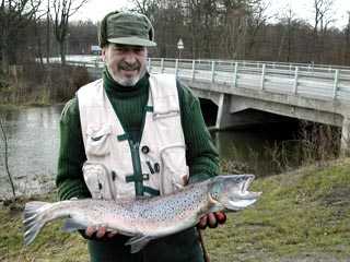 Jrgen: Sea trout of 5 kg caught at Prambroen