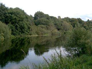 The boat harbor and free fishing at Lang Camping for the guests