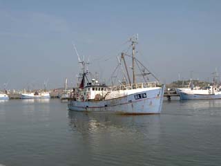 Fiskerihavnen i Hvide Sande