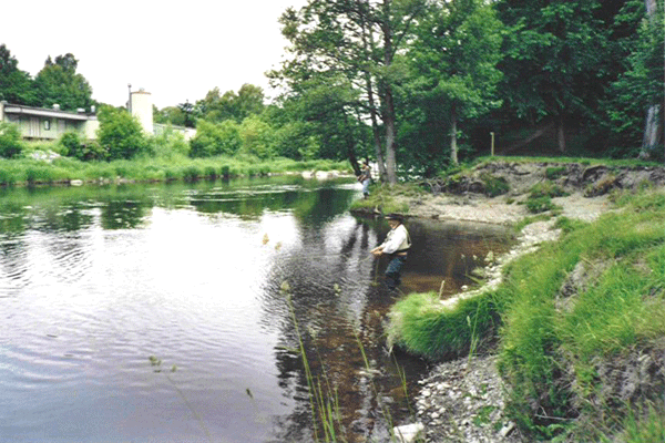 It looks good. Caught many salmon in rekilselven