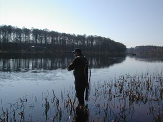 Lagan ved motorvejen, hvor den er meget bred