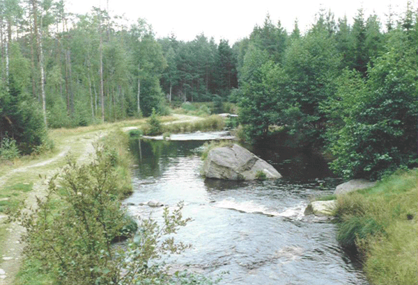 Et godt strmfluevand. Vandindtag fra sen til fluestrkningen.