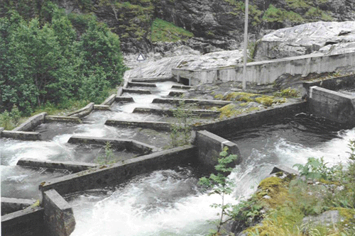 The salmon stairs at Namsen and salmon aquarium near Grong