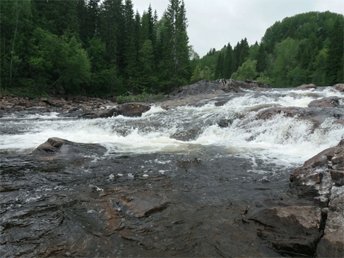 This is where we started fishing downstream of the small waterfall