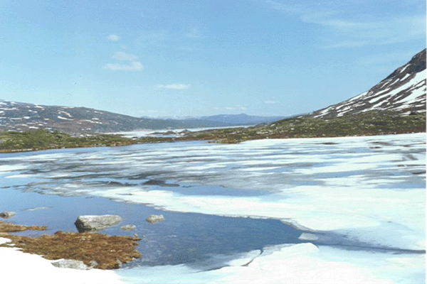 Elven udspringer fra en hj inds. Her tilfrodset i juni