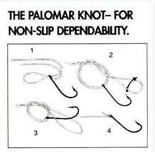 Palomar Knot