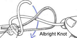 Albright Knot