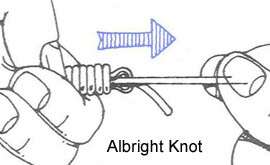 Albright Knot