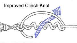 Improved Clinch Knot