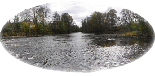 A look downstream Bolmn from the bridge in Nttja