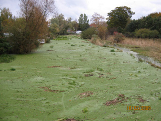 Trygge creek filled with aquatic plants in summer 
and ice in winter at the Prambroen