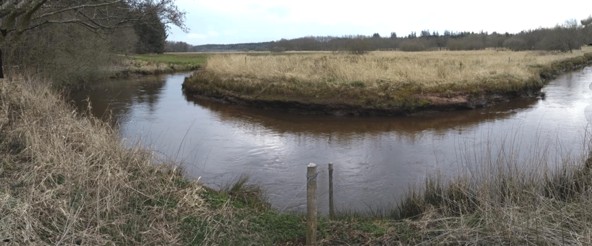 Holme  lower part belongs to Zone 1 and is salmon water B (Close to the outlet to Varde )