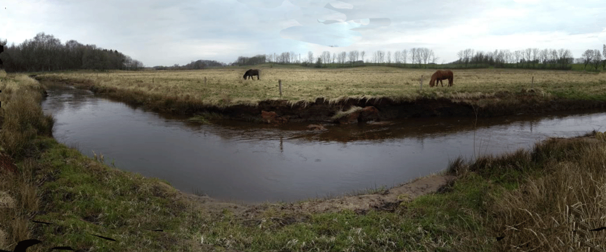 Panorama udsigt over Holme  april 2023