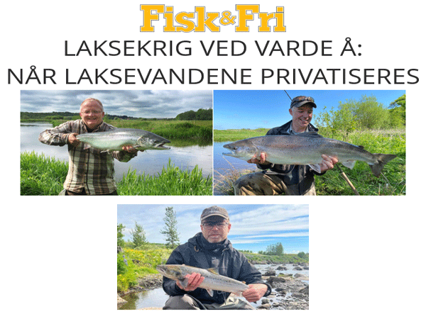 Laksekrig ved Varde : Nr laksevandene privatiseres