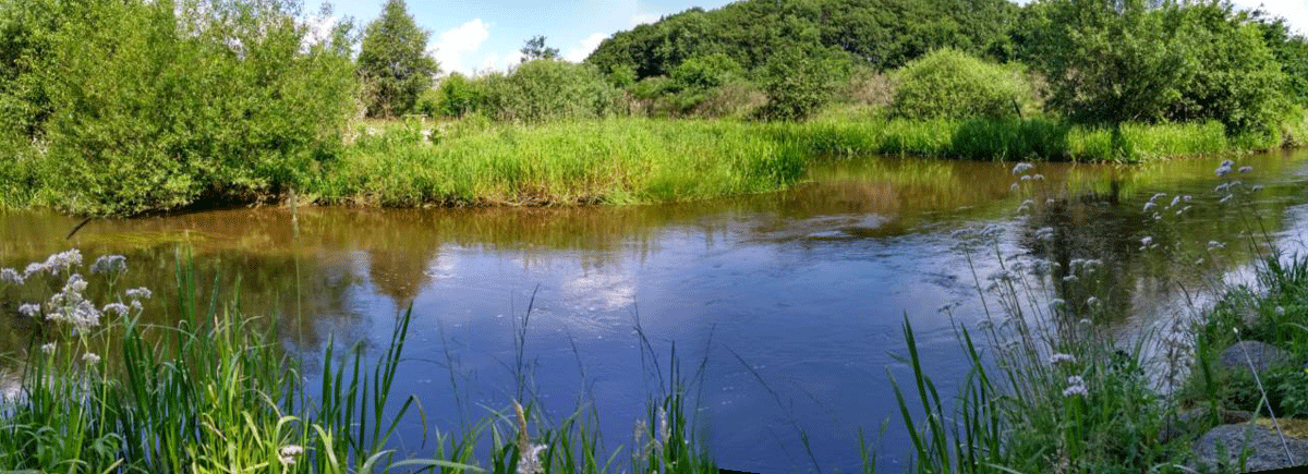 Panoramic view of the confluence Varde  at 