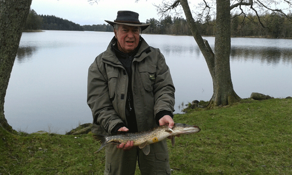 Jeg har fanget en gedde - ca. 60 cm