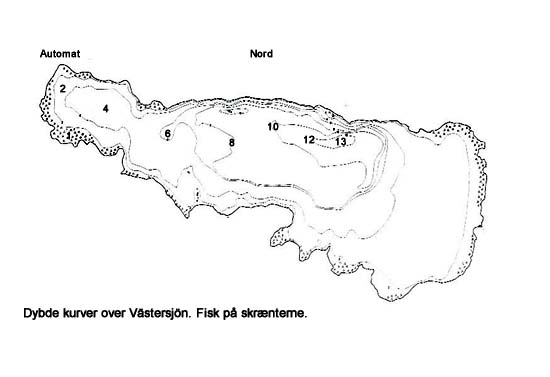 Dybdekort over Vstersjn